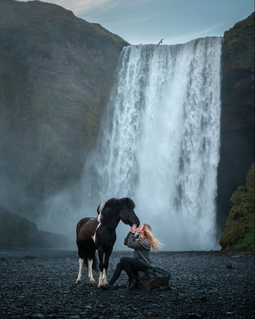 Tomé fotos de hermosos caballos en impresionantes paisajes islandeses, y aquí hay 15 de ellos