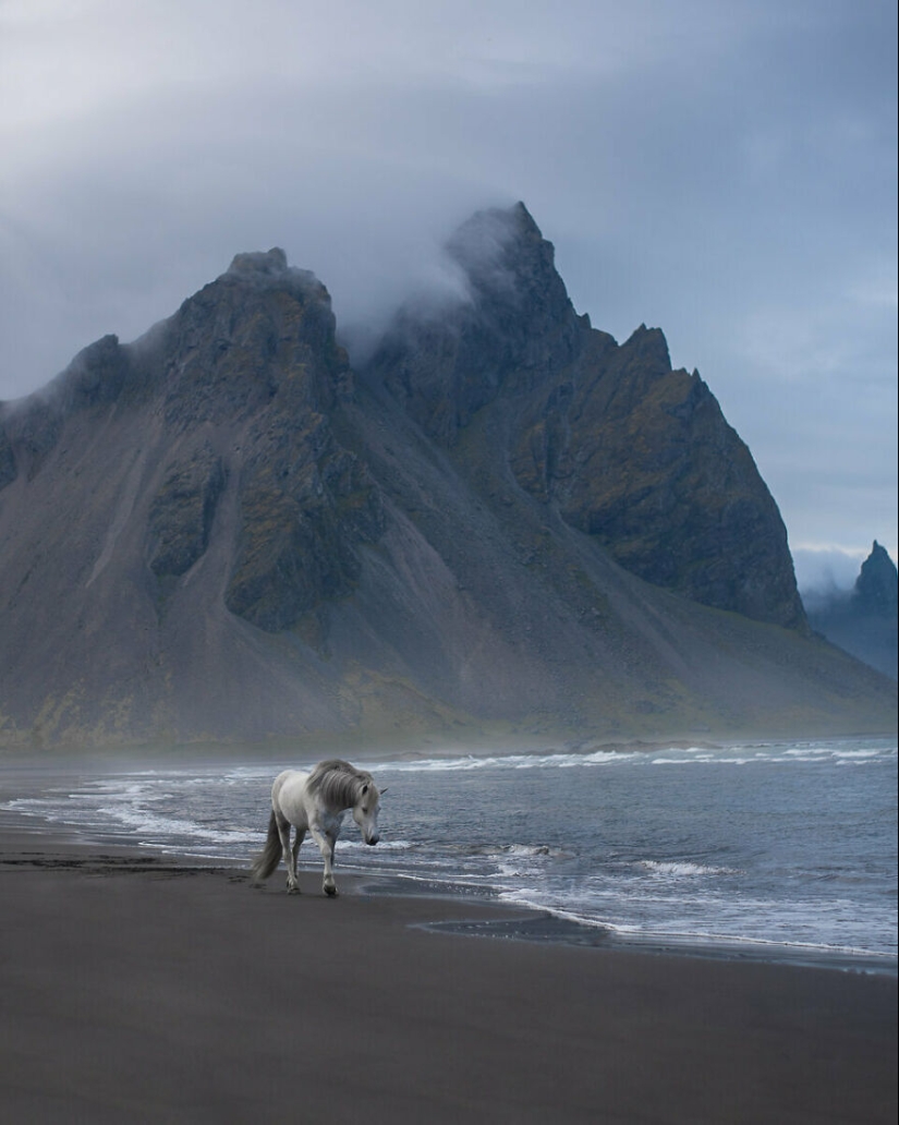 Tomé fotos de hermosos caballos en impresionantes paisajes islandeses, y aquí hay 12 de ellos (Parte 2)