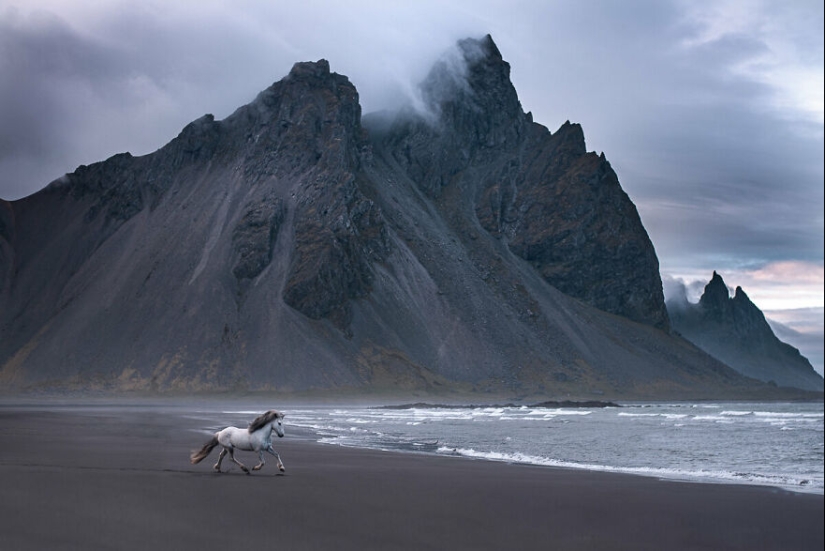 Tomé fotos de hermosos caballos en impresionantes paisajes islandeses, y aquí hay 12 de ellos (Parte 2)