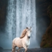 Tomé fotos de hermosos caballos en impresionantes paisajes islandeses, y aquí hay 15 de ellos Tomé fotos de hermosos caballos en impresionantes paisajes islandeses, y aquí hay 15 de ellos