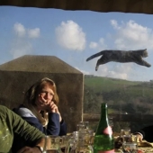 Top 10 Cats That Ruined Perfect Photos