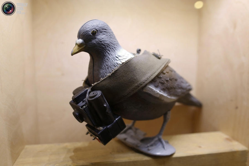 Top Secret: Spy Museum in Germany Top Secret: Spy Museum in Germany