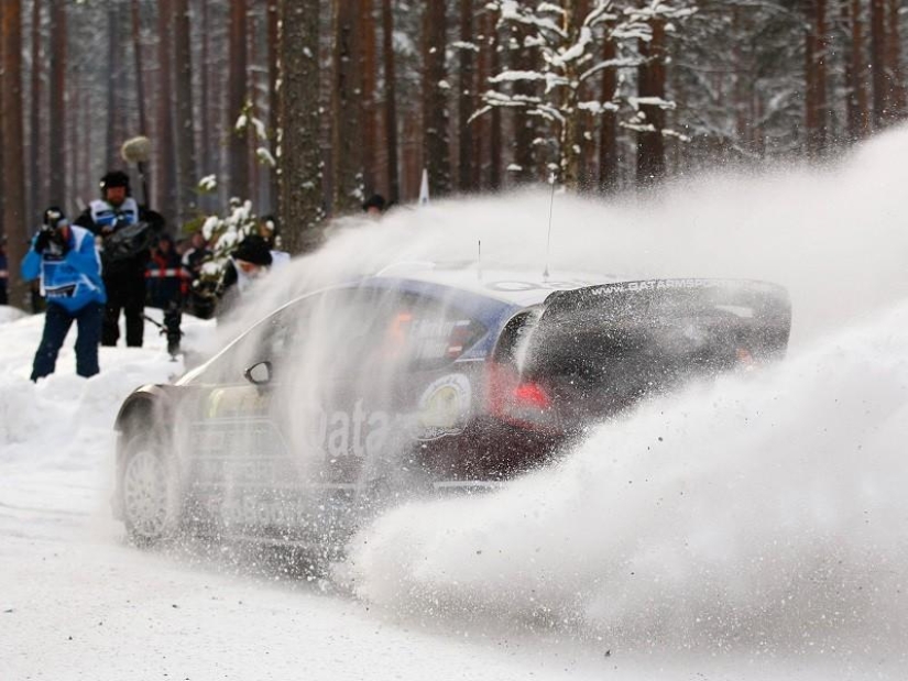 Típicos coches de masas en… ¡rally!