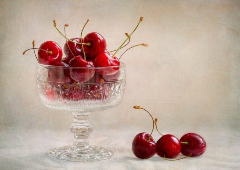 Trabajo increíblemente delicado de la fotógrafa Mandy Disher Trabajo increíblemente delicado de la fotógrafa Mandy Disher