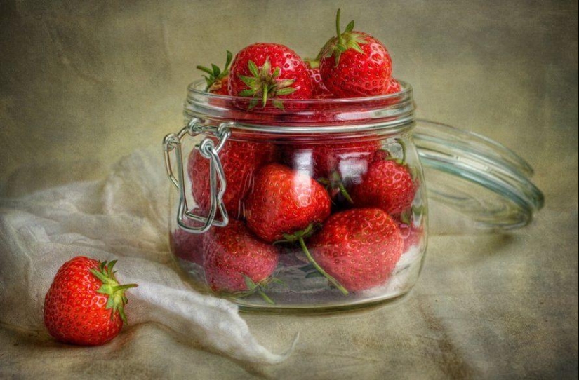 Trabajo increíblemente delicado de la fotógrafa Mandy Disher Trabajo increíblemente delicado de la fotógrafa Mandy Disher