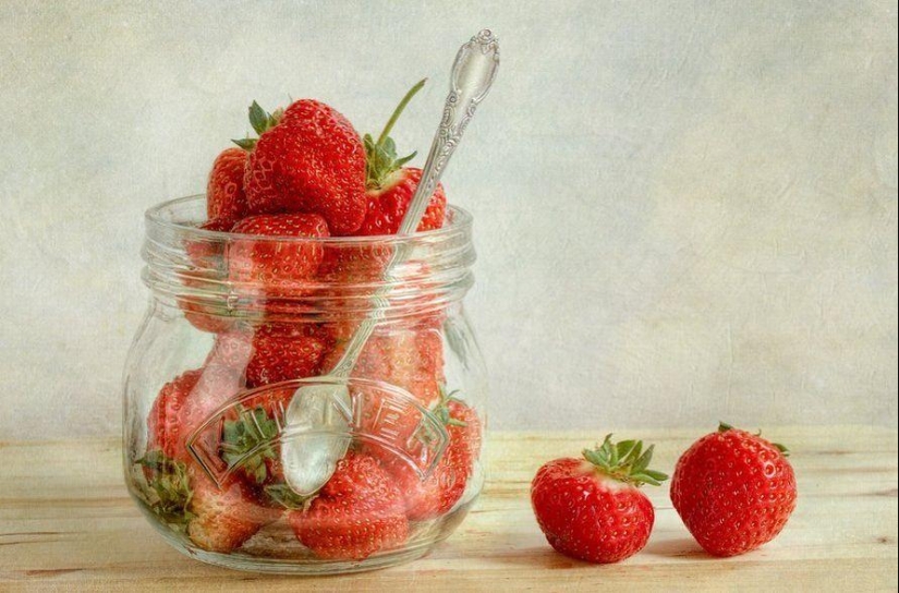 Trabajo increíblemente delicado de la fotógrafa Mandy Disher Trabajo increíblemente delicado de la fotógrafa Mandy Disher