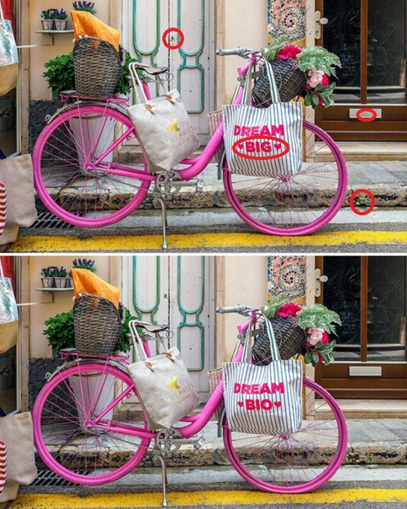 Train your mind: can you spot at least 3 differences in two pictures?