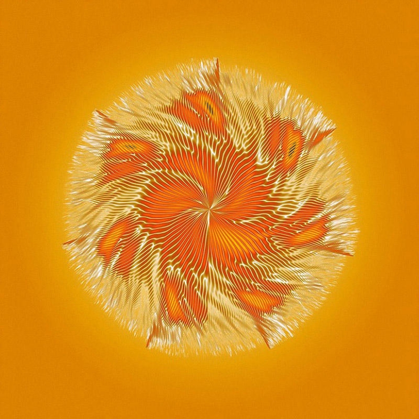 Translation of animal sounds into hypnotic images Translation of animal sounds into hypnotic images