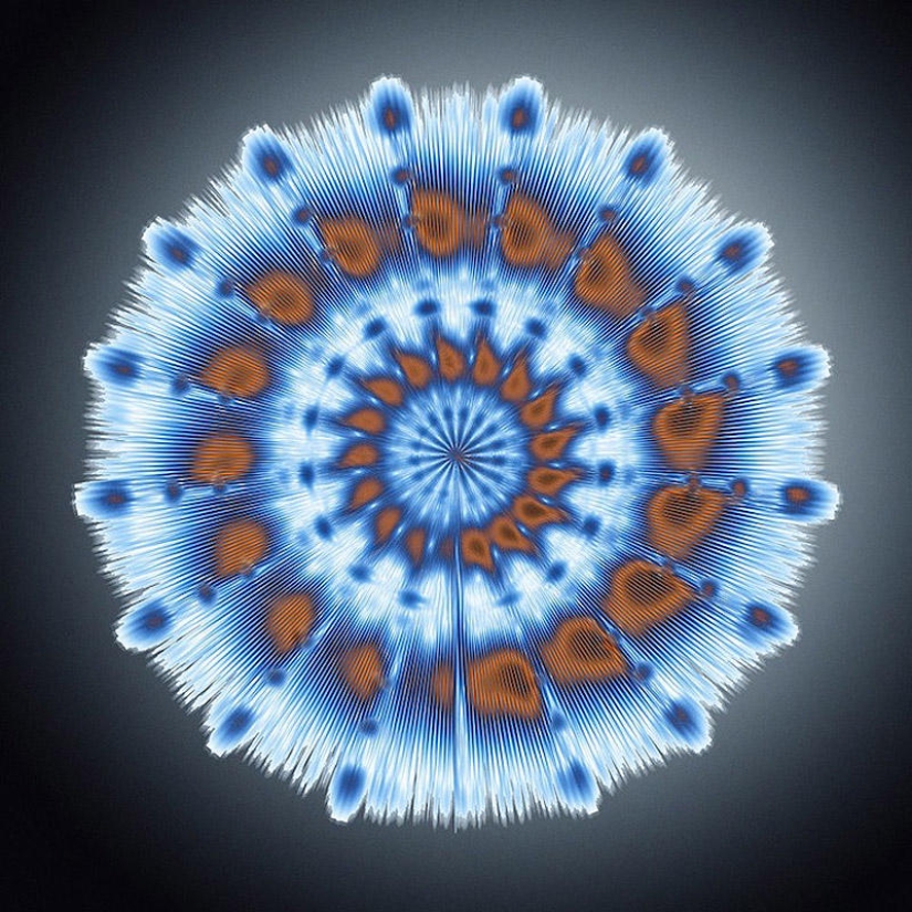 Translation of animal sounds into hypnotic images Translation of animal sounds into hypnotic images