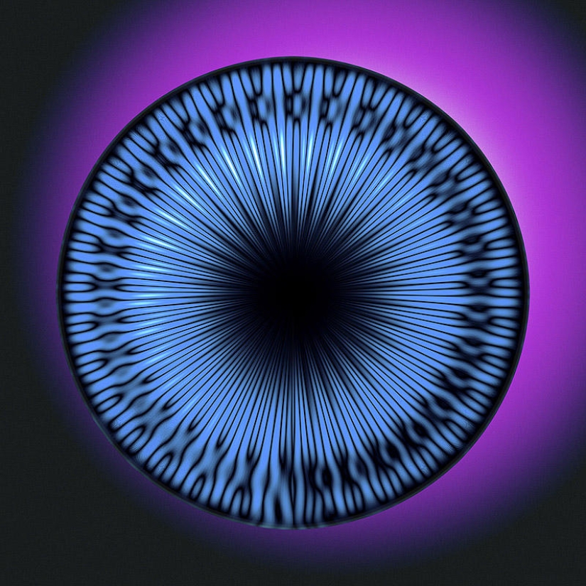 Translation of animal sounds into hypnotic images Translation of animal sounds into hypnotic images