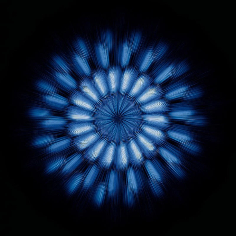 Translation of animal sounds into hypnotic images Translation of animal sounds into hypnotic images