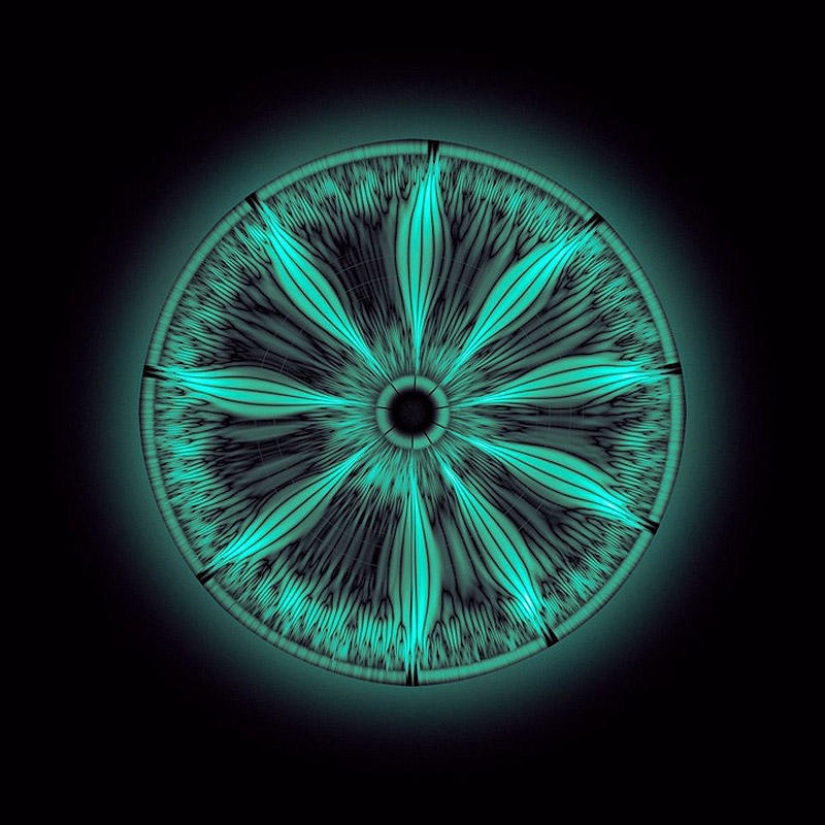 Translation of animal sounds into hypnotic images Translation of animal sounds into hypnotic images