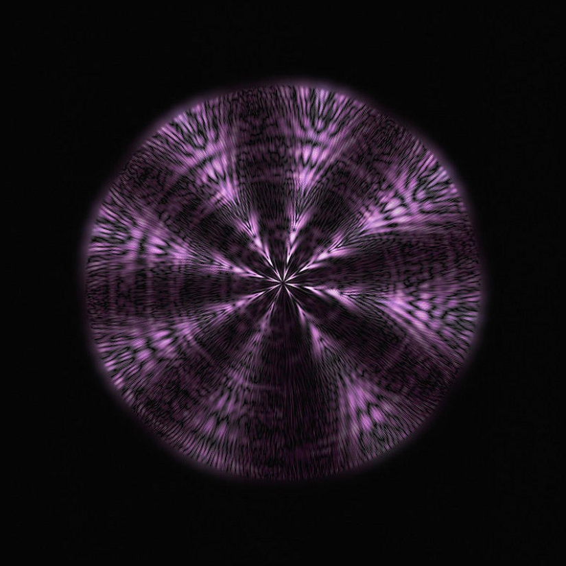 Translation of animal sounds into hypnotic images Translation of animal sounds into hypnotic images