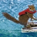 Twiggy is a squirrel who loves water skiing.