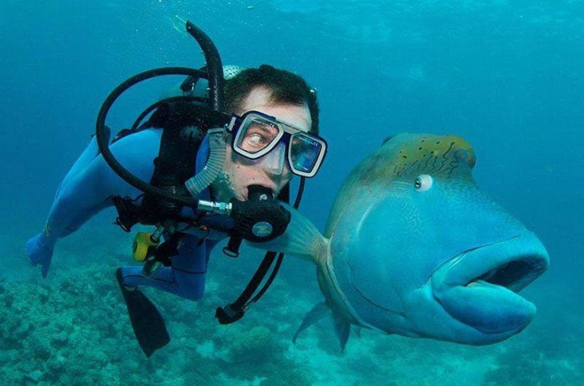 Twisted Sifter's 100 Best Photos of the Year Twisted Sifter's 100 Best Photos of the Year