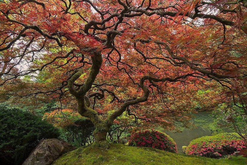 Twisted Sifter's 100 Best Photos of the Year Twisted Sifter's 100 Best Photos of the Year