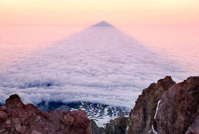 Twisted Sifter's 100 Best Photos of the Year Twisted Sifter's 100 Best Photos of the Year