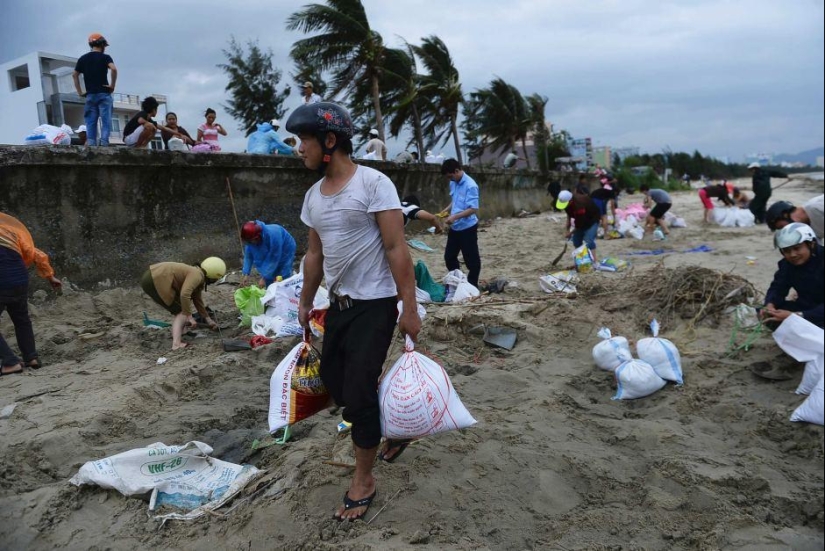 Typhoon Haiyan claimed the lives of more than 10 thousand people Typhoon Haiyan claimed the lives of more than 10 thousand people
