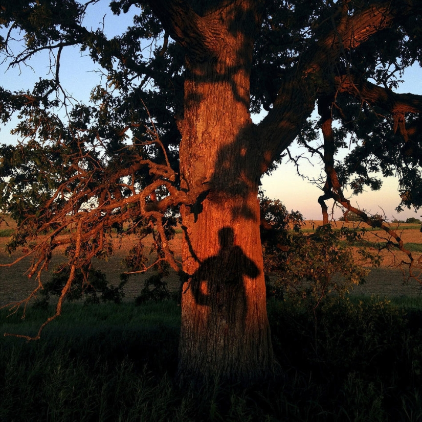 Un año en la vida de un árbol.