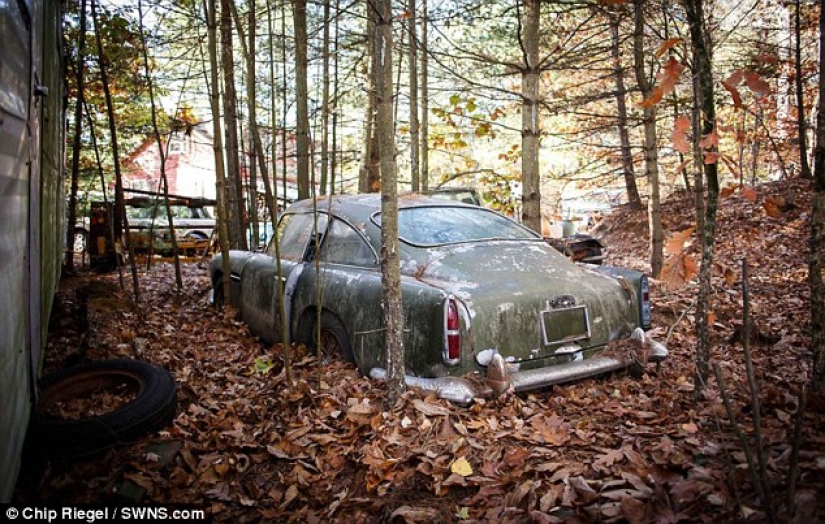 Un Aston Martin oxidado que ha estado parado en el bosque durante 40 años se vende por 400 mil dólares
