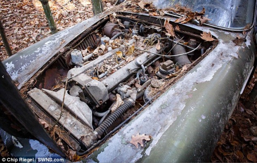 Un Aston Martin oxidado que ha estado parado en el bosque durante 40 años se vende por 400 mil dólares