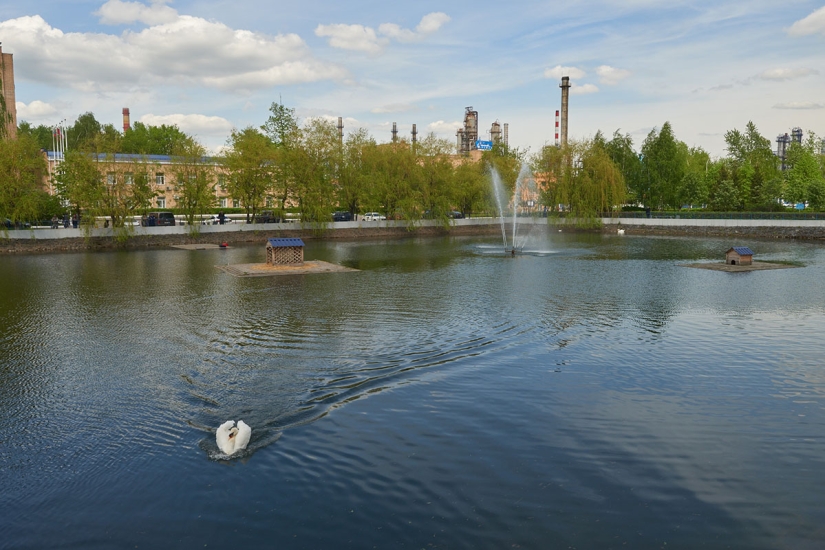 un canto de cisne