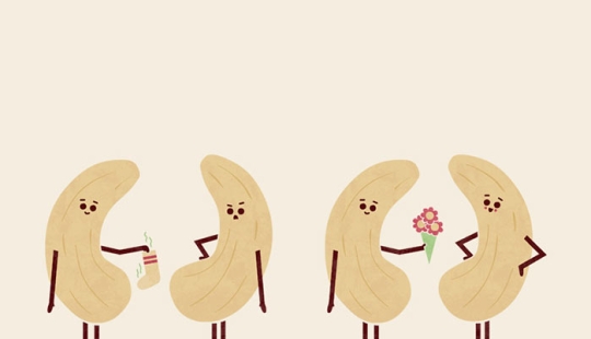 Un divertido giro de palabras: mi serie de 15 ilustraciones punny y sus extravagantes opuestos