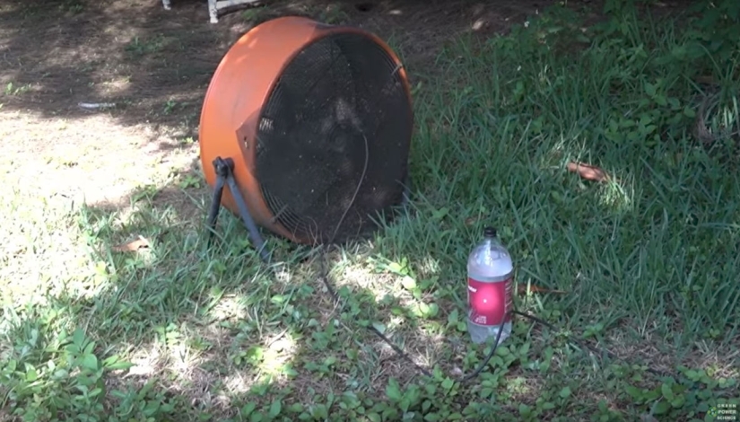 Un Estadounidense Mata 4.000 Mosquitos Cada Noche Usando a Su Perro como Cebo