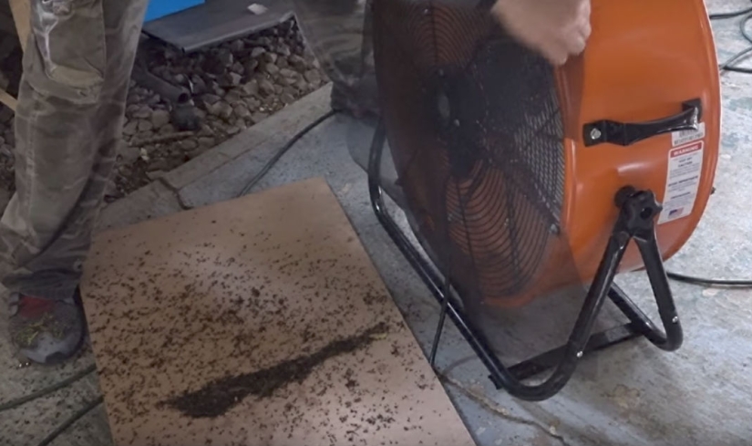 Un Estadounidense Mata 4.000 Mosquitos Cada Noche Usando a Su Perro como Cebo