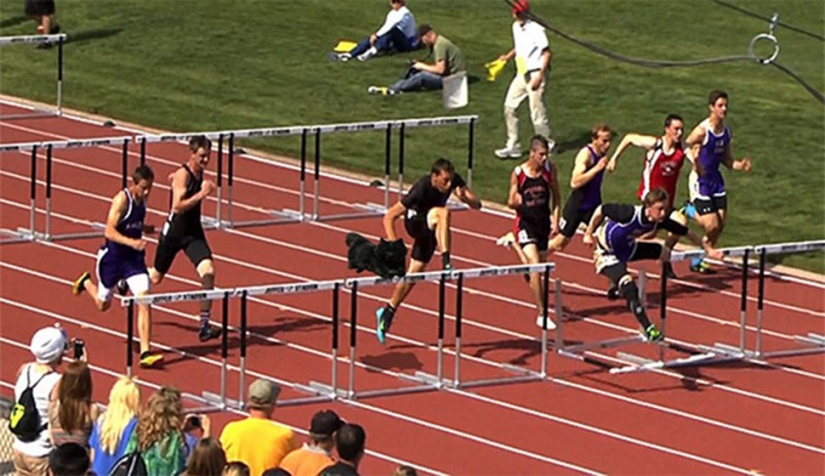 Un gato negro saltó al campo durante un partido de rugby y se convirtió en un héroe del photojab