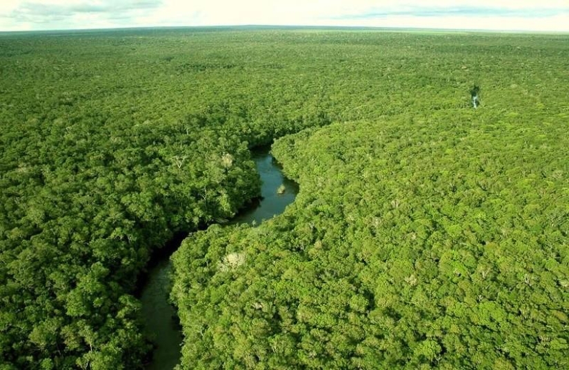 Un gran recorrido fotográfico por los bosques amazónicos.