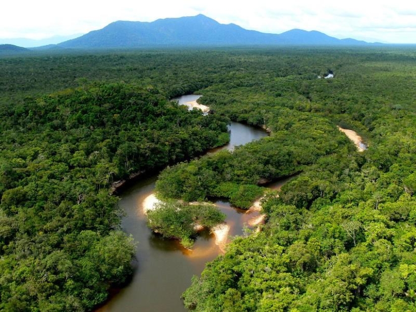 Un gran recorrido fotográfico por los bosques amazónicos.