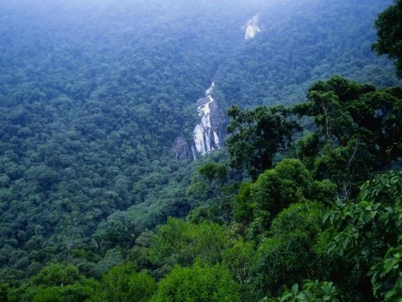 Un gran recorrido fotográfico por los bosques amazónicos.