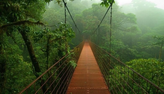Un gran recorrido fotográfico por los bosques amazónicos. Un gran recorrido fotográfico por los bosques amazónicos.