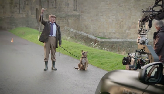 Un perro que no ha atraído a 18 mil visitantes al refugio durante 6 años se ha convertido en una estrella de cine Un perro que no ha atraído a 18 mil visitantes al refugio durante 6 años se ha convertido en una estrella de cine