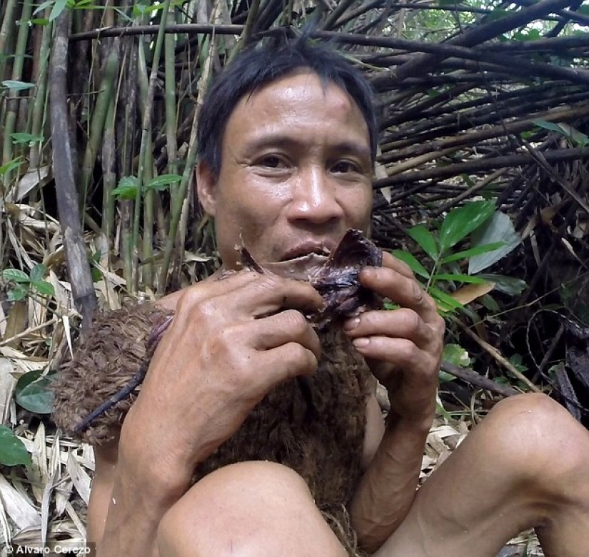 Un vietnamita durante 41 años huía de la guerra en la jungla