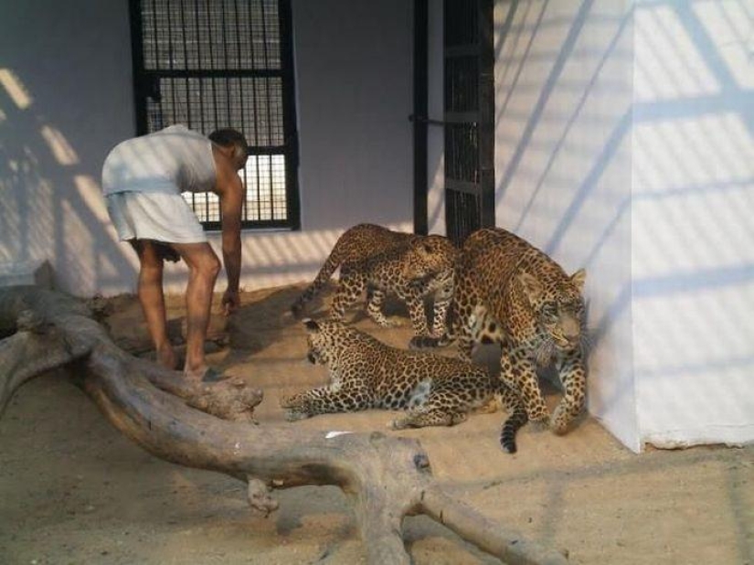 Una familia india ha acogido a cientos de animales salvajes huérfanos, convirtiendo su hogar en una reserva natural