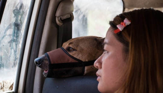 Una historia conmovedora sobre una amistad increíble