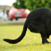 Una historia increíble sobre cómo Ru llegó al éxito: ¡sobre ruedas!