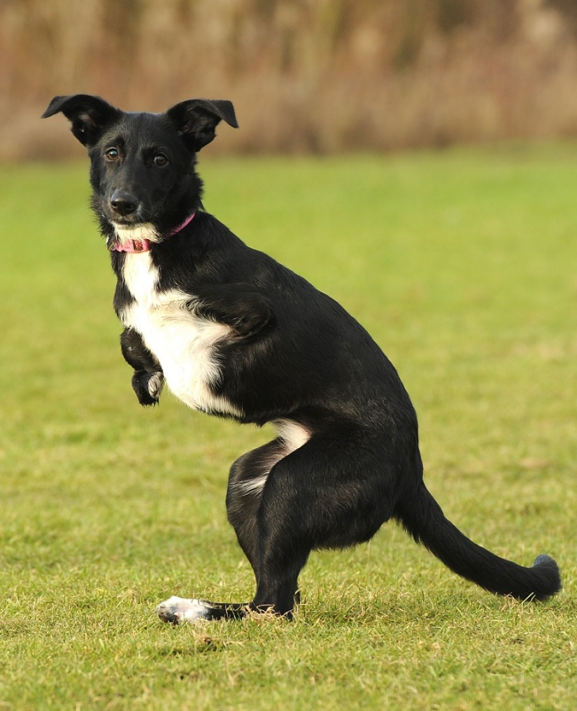 Una historia increíble sobre cómo Ru llegó al éxito: ¡sobre ruedas!