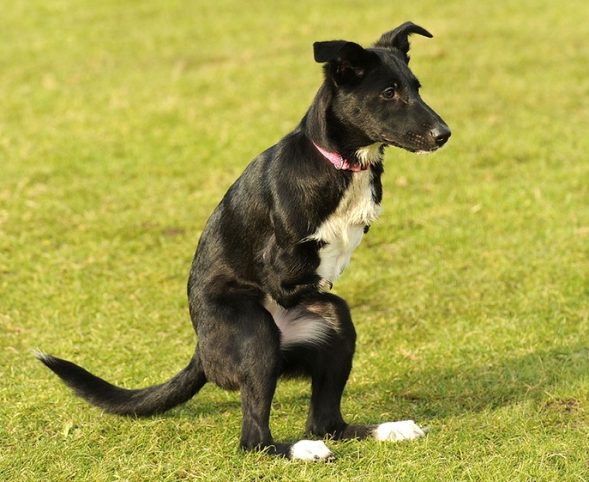 Una historia increíble sobre cómo Ru llegó al éxito: ¡sobre ruedas!
