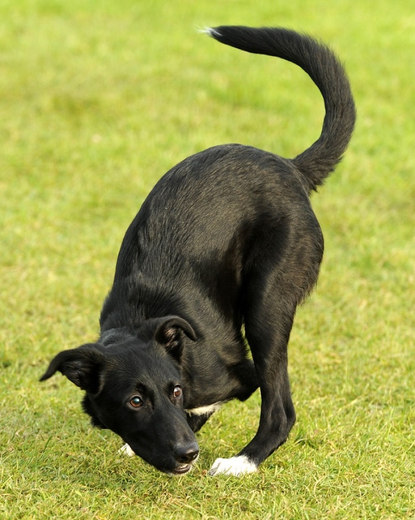 Una historia increíble sobre cómo Ru llegó al éxito: ¡sobre ruedas!