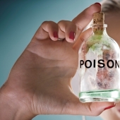 Una mujer rusa intentó matar a una ucraniana con una tarta de queso para "robar" su identidad