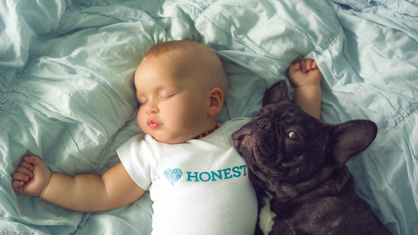 Una publicación de ternura impensable de cachorros, ¡humanos y no solo!