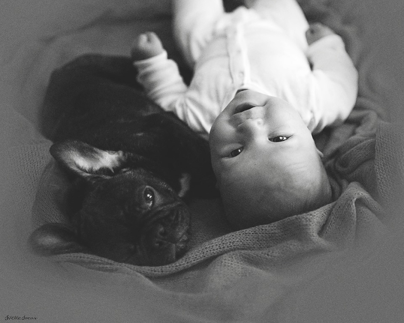 Una publicación de ternura impensable de cachorros, ¡humanos y no solo!