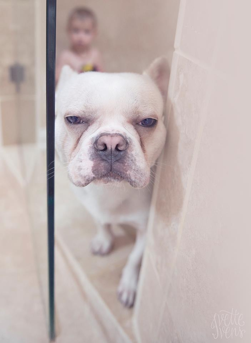 Una publicación de ternura impensable de cachorros, ¡humanos y no solo!