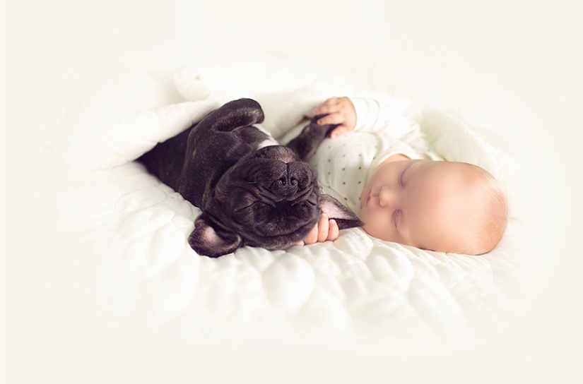 Una publicación de ternura impensable de cachorros, ¡humanos y no solo!