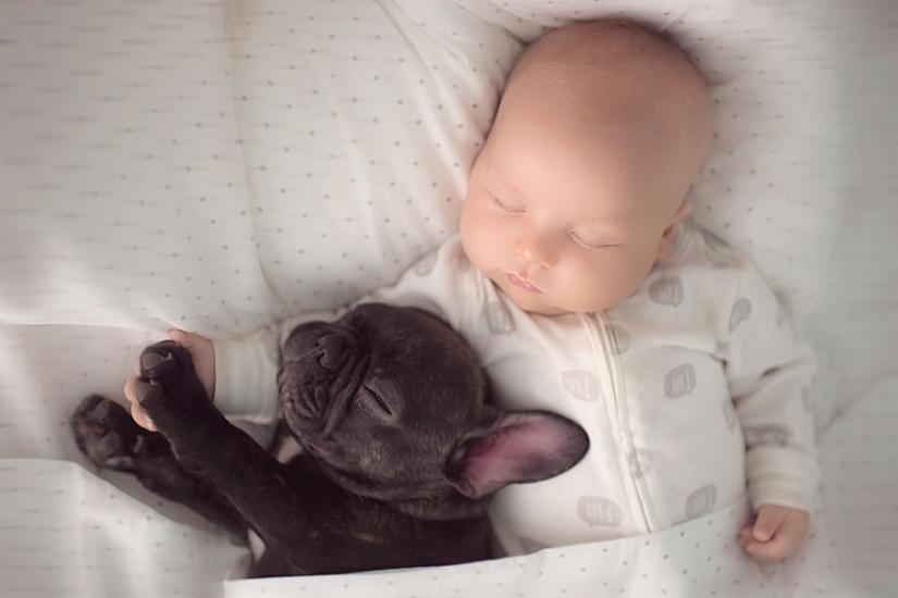 Una publicación de ternura impensable de cachorros, ¡humanos y no solo!