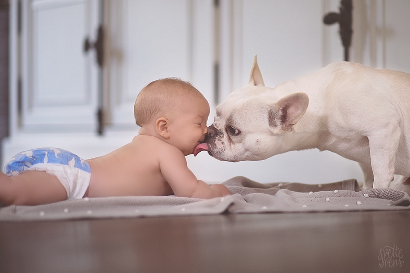 Una publicación de ternura impensable de cachorros, ¡humanos y no solo!
