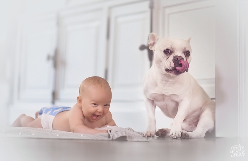 Una publicación de ternura impensable de cachorros, ¡humanos y no solo!